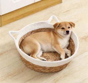 Seagrass pet bed with white cotton rope rim, used as a comfortable bed for a puppy on a light wood kitchen floor