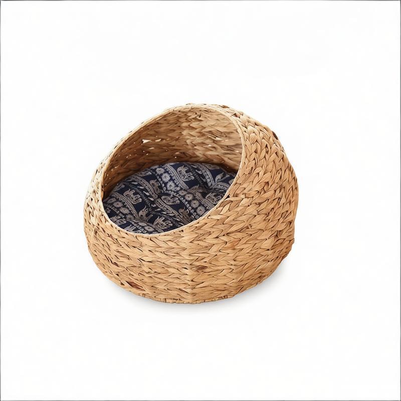 Woven pet bed with patterned cushion, white background