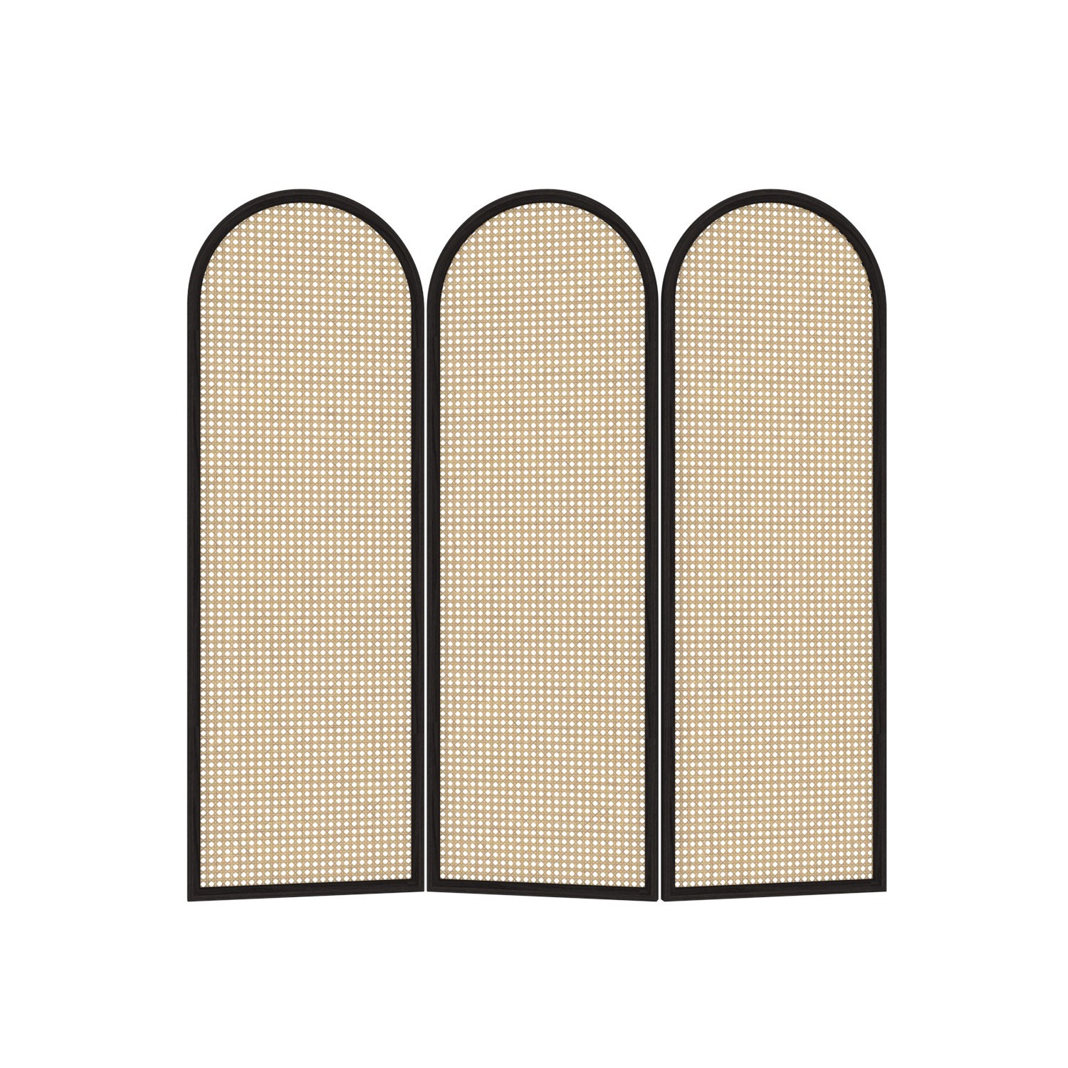 Slim black frame rattan cane screen with hand woven natural cane on a clean white background